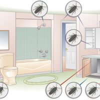 места за криење места за криење